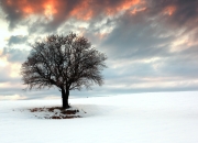 开云体育登录-欧冠决赛之夜，德罗赞大场面先生