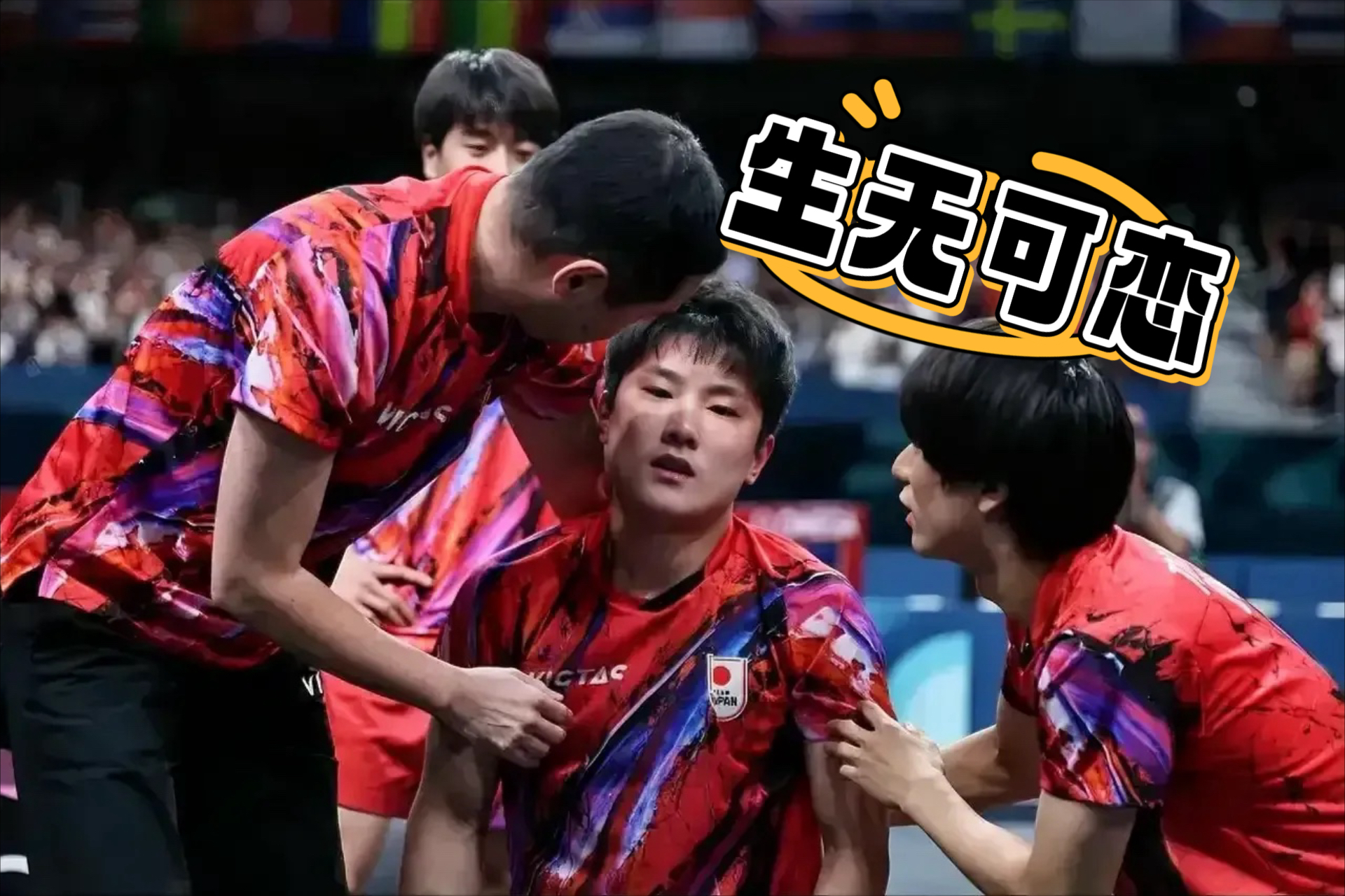 包含瑞典乒乓球队逆转日本乒乓球队，张本智和爆发神勇的词条