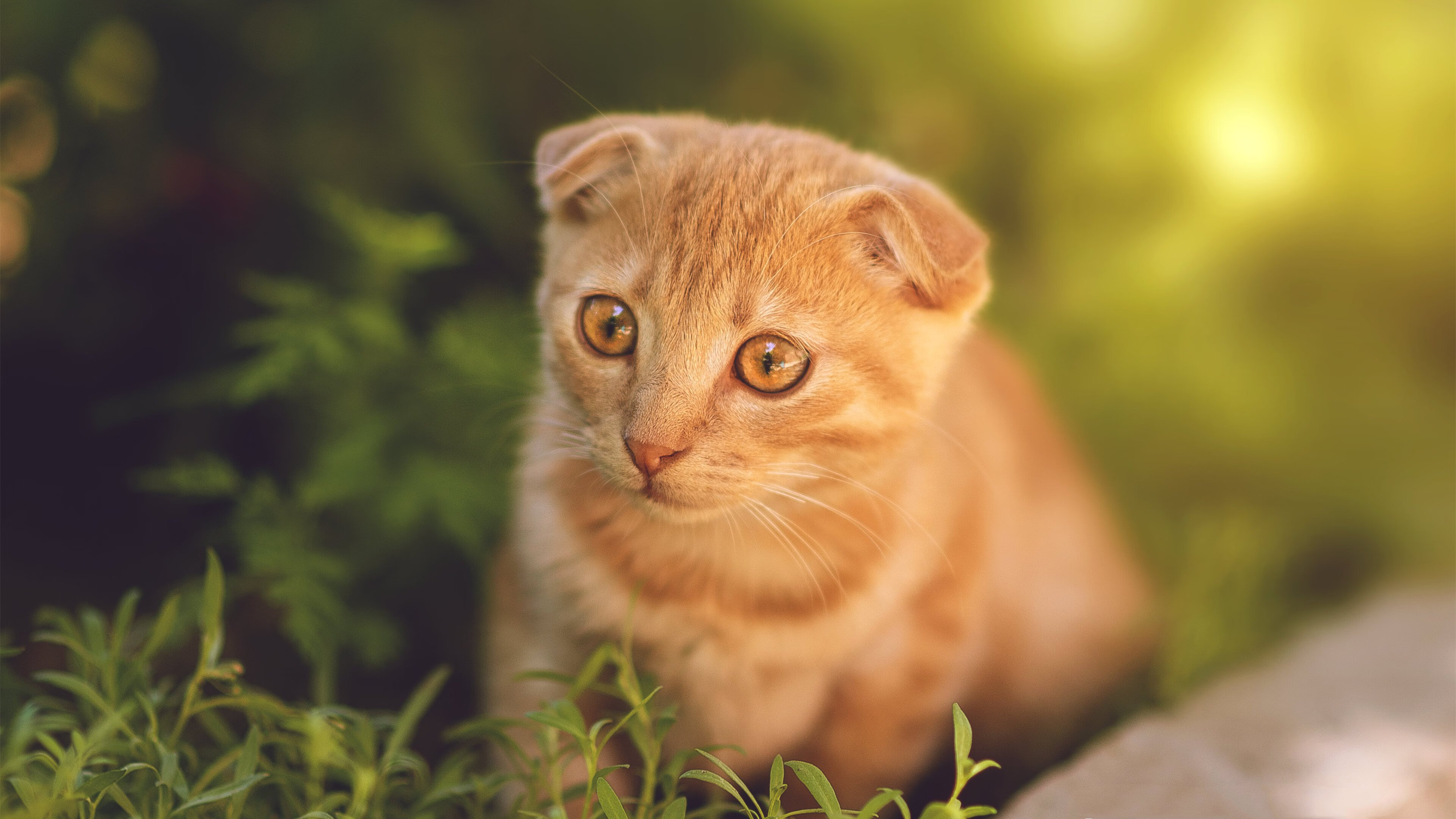 绝境逆转!哈登末节封神,北京队翻盘吉林诠释篮球魅力